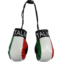 Mini Boxing Gloves 