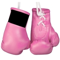 Mini Boxing Gloves 