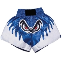 Muay Thai Shorts 