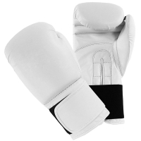 Boxing Gloves 