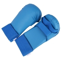 Karate Gloves 