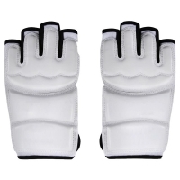 Taekwondo Gloves 