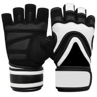 Weight Lifting Gloves 